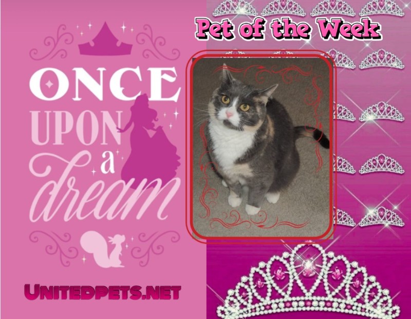 Blanche uploaded   70  day/s  ago