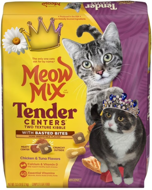 Blanche uploaded   69  day/s  ago