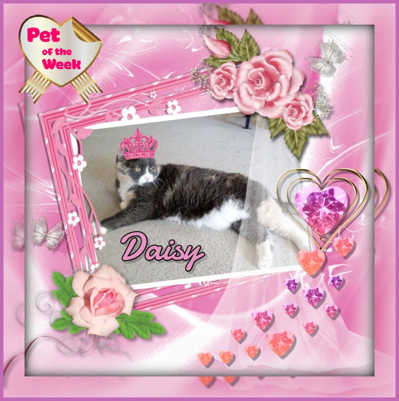 Blanche uploaded   66  day/s  ago