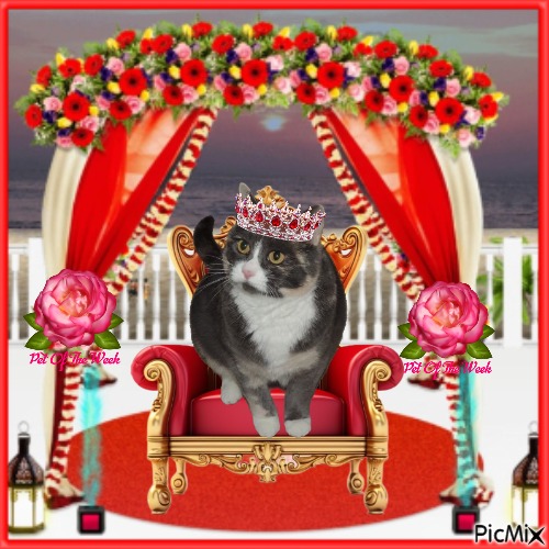 Blanche uploaded   66  day/s  ago