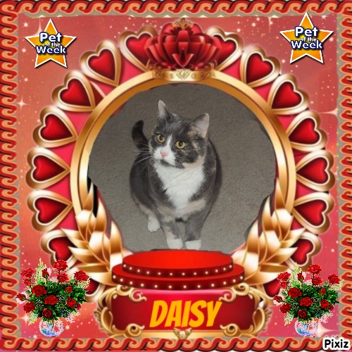 Blanche uploaded   65  day/s  ago