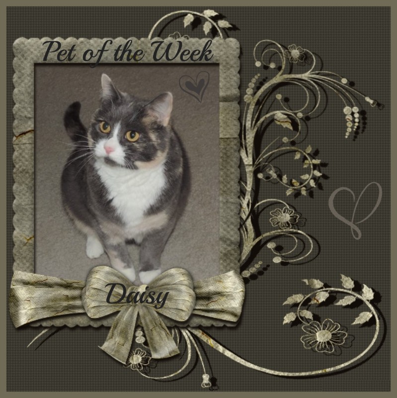 Blanche uploaded   61  day/s  ago