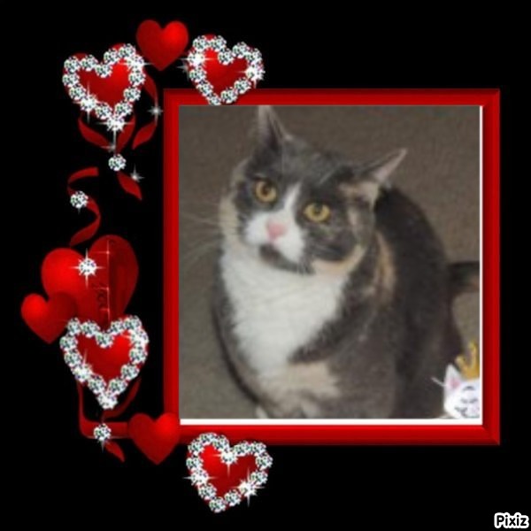 Blanche uploaded   66  day/s  ago