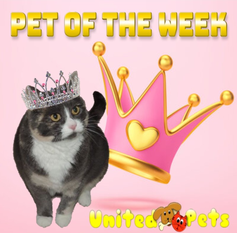 Blanche uploaded   70  day/s  ago