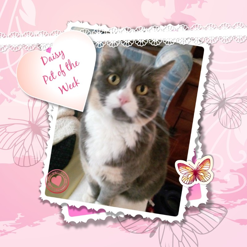 Blanche uploaded   67  day/s  ago