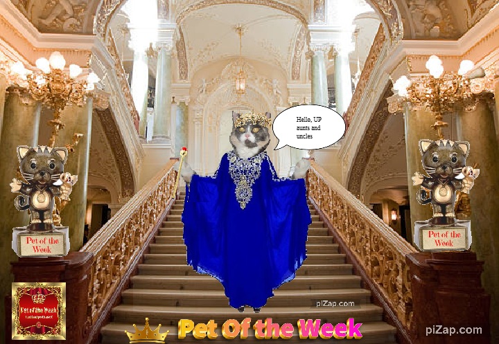 Blanche uploaded   64  day/s  ago