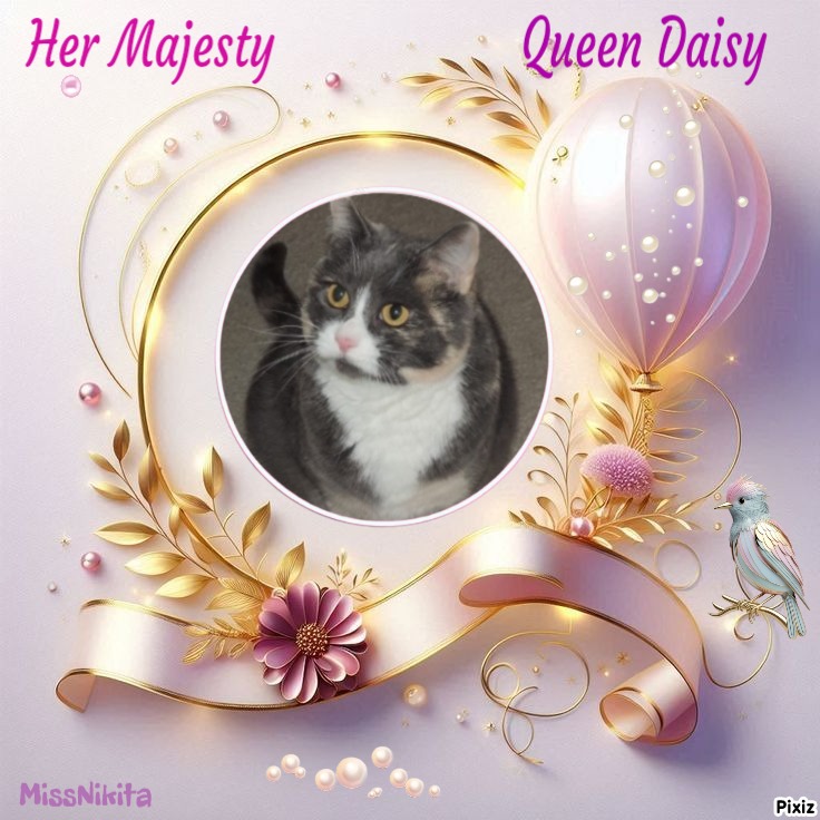 Blanche uploaded   3 hour/s ago