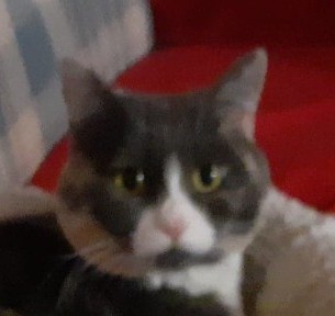 Blanche uploaded   66  day/s  ago