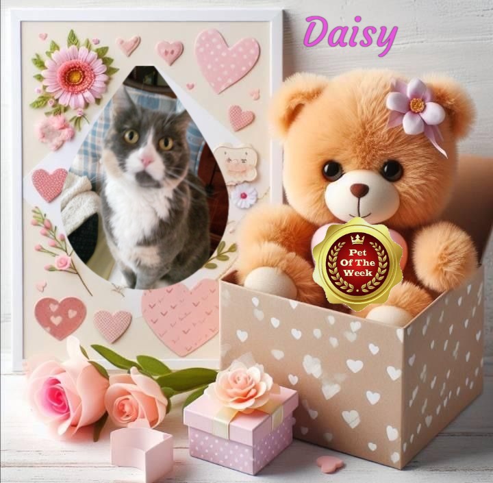 Blanche uploaded   65  day/s  ago