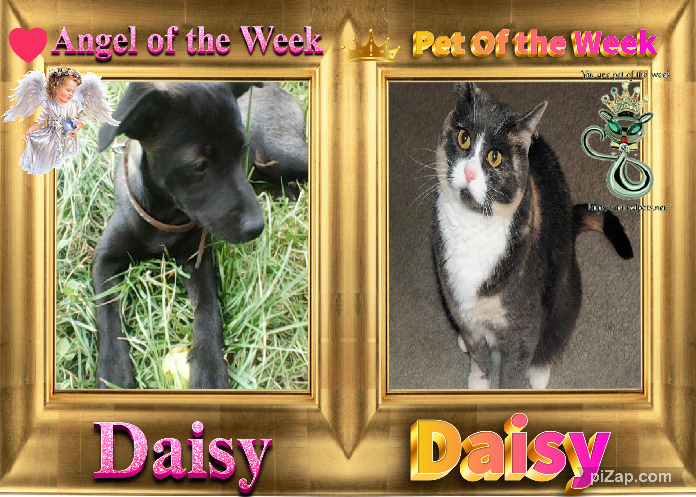 Blanche uploaded   67  day/s  ago