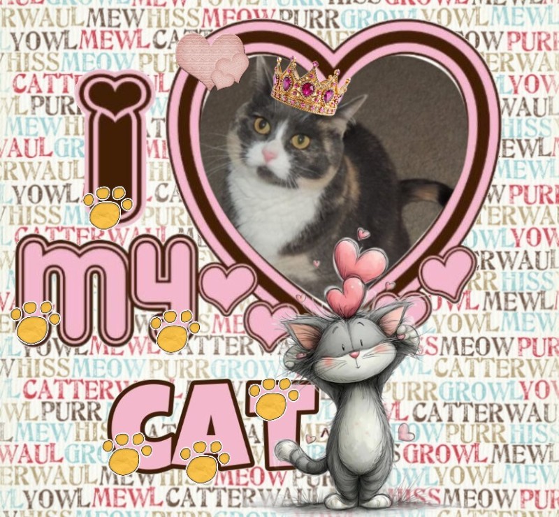 Blanche uploaded   67  day/s  ago