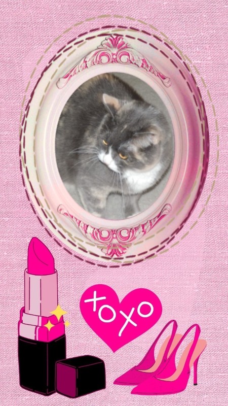 Blanche uploaded   66  day/s  ago