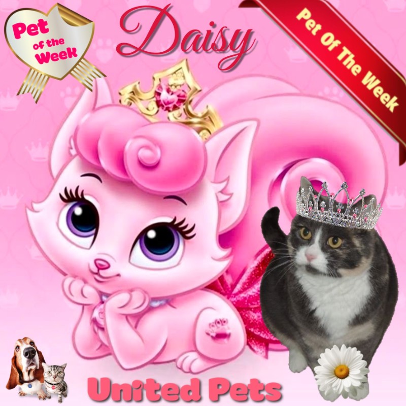 Blanche uploaded   65  day/s  ago