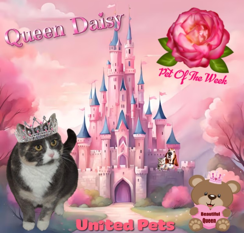 Blanche uploaded   3 hour/s ago