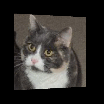 Daisy of the Blanche family