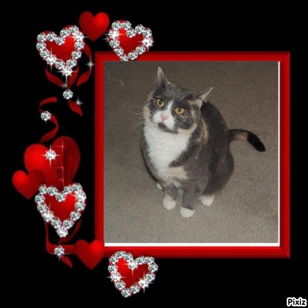 Blanche uploaded   70  day/s  ago