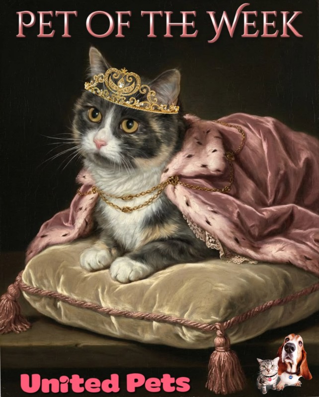 Blanche uploaded   69  day/s  ago