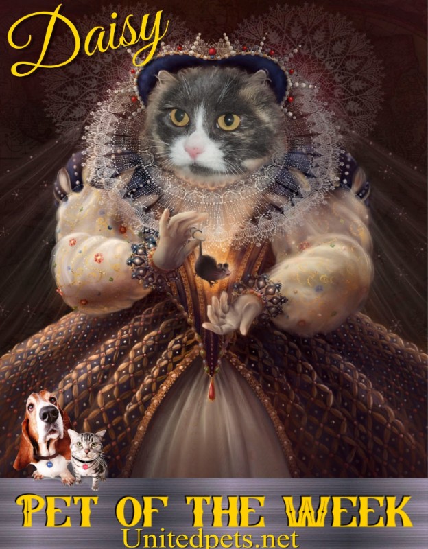 Daisy of the Blanche family