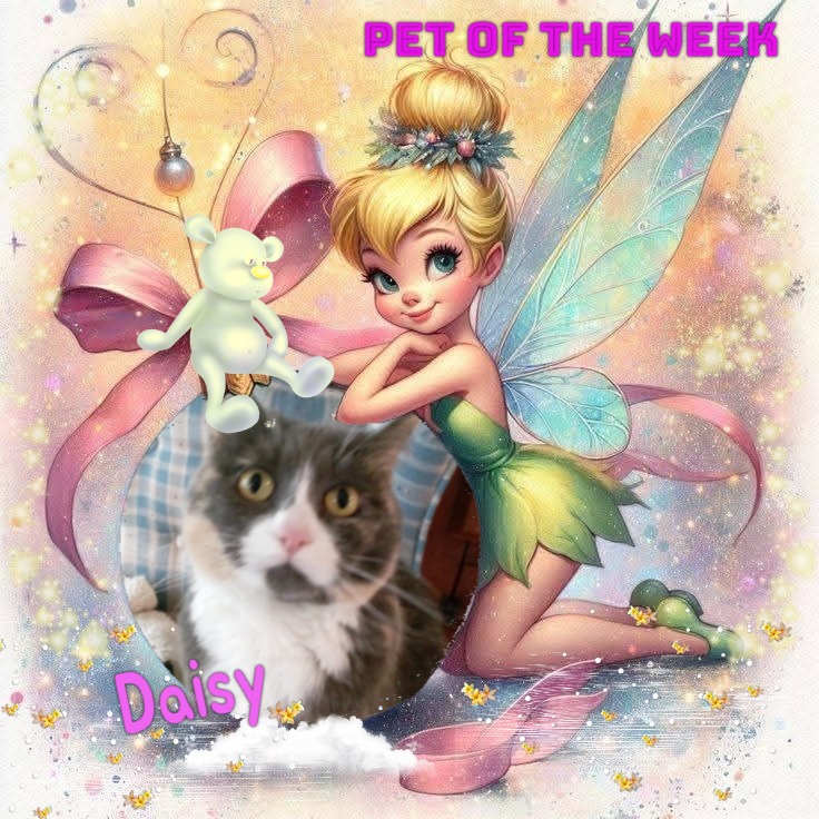 Blanche uploaded   69  day/s  ago