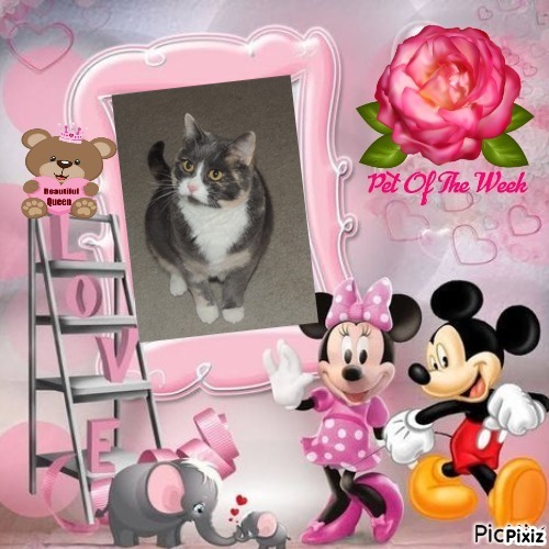 Blanche uploaded   66  day/s  ago