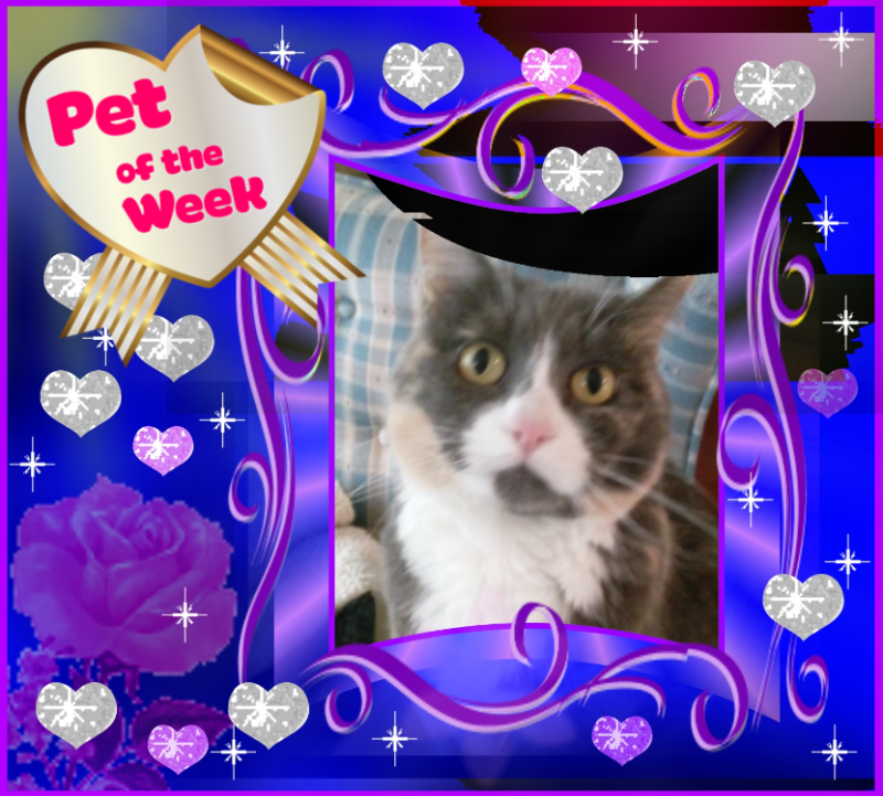 Blanche uploaded   64  day/s  ago