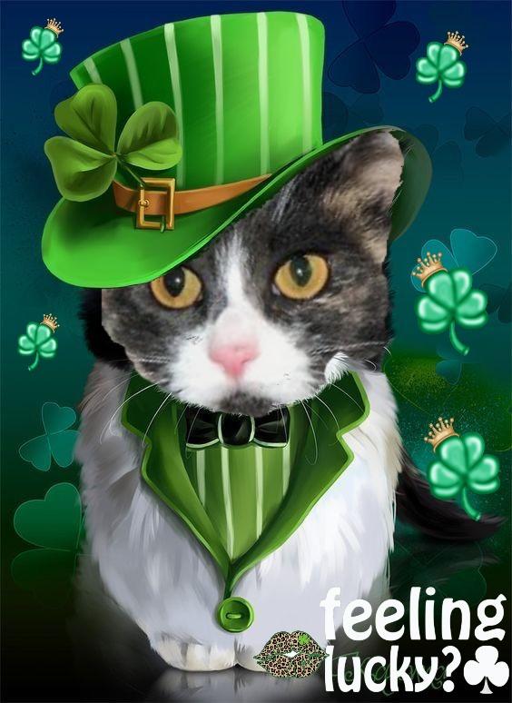 Daisy of the Blanche family