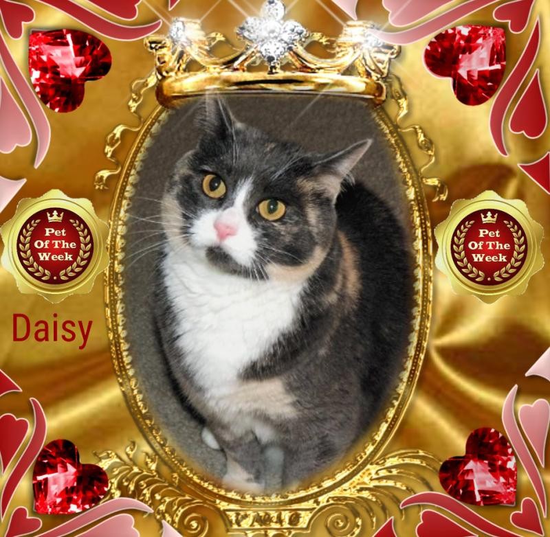 Blanche uploaded   69  day/s  ago