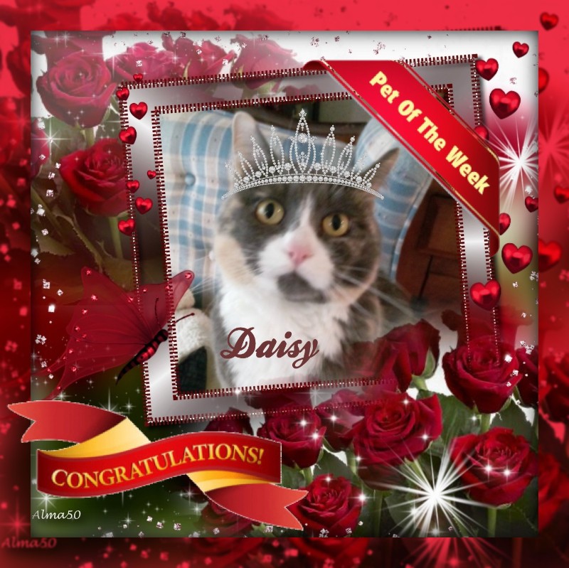 Blanche uploaded   67  day/s  ago