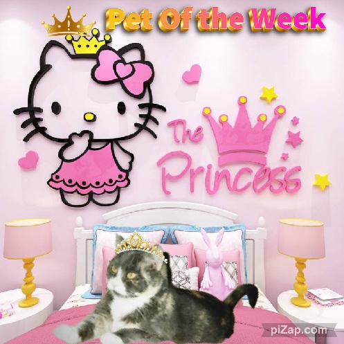 Daisy of the Blanche family