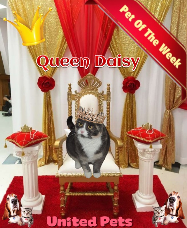 Blanche uploaded   64  day/s  ago