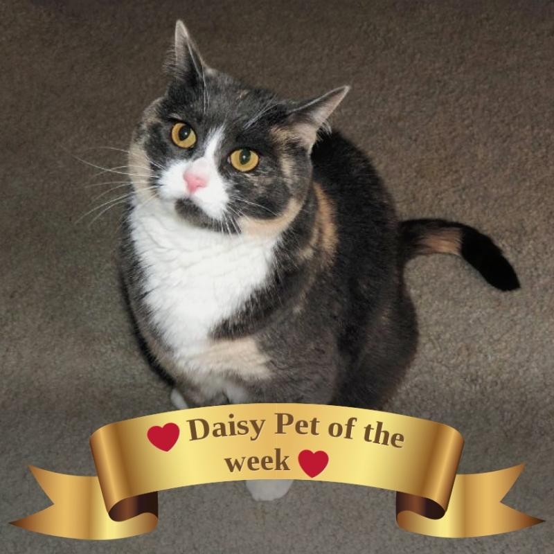 Blanche uploaded   69  day/s  ago