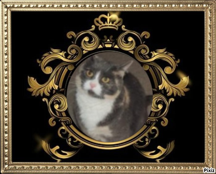 Blanche uploaded   68  day/s  ago