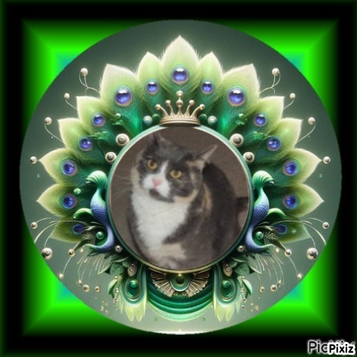 Blanche uploaded   68  day/s  ago