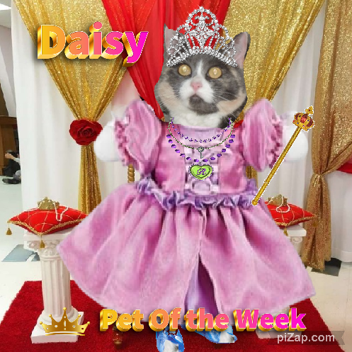 Blanche uploaded   67  day/s  ago