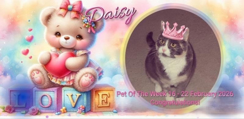 Blanche uploaded   67  day/s  ago