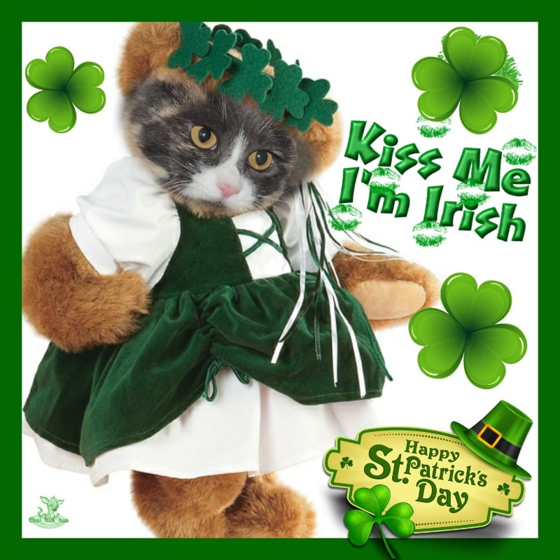 Blanche uploaded   52  day/s  ago