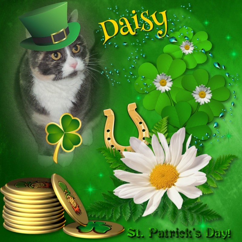 Blanche uploaded   47  day/s  ago