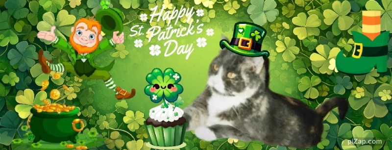 Blanche uploaded   31  day/s  ago