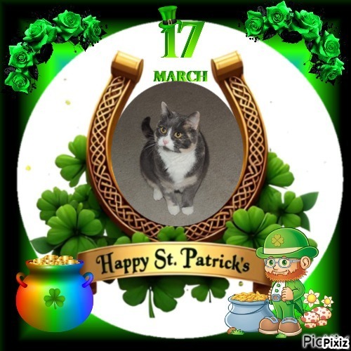 Blanche uploaded   31  day/s  ago