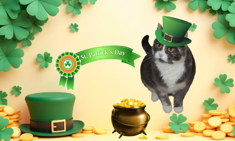 Blanche uploaded   50  day/s  ago