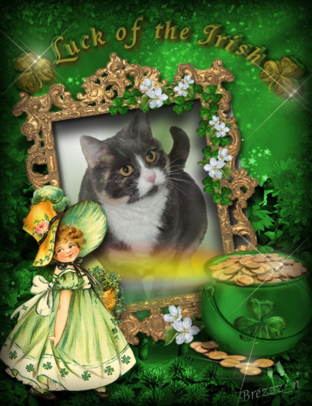 Blanche uploaded   57  day/s  ago