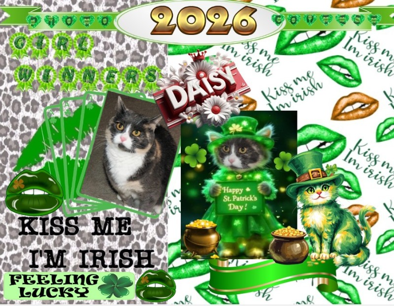 Blanche uploaded   30  day/s  ago