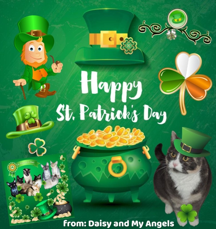 Blanche uploaded   30  day/s  ago