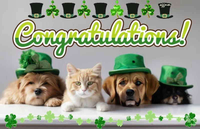 Blanche uploaded   30  day/s  ago