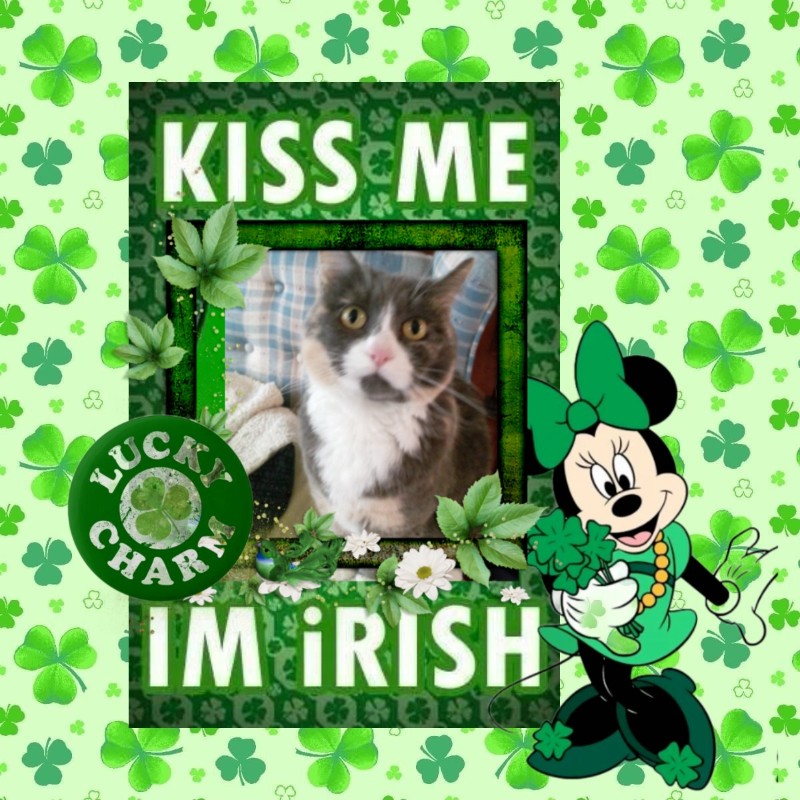 Blanche uploaded   31  day/s  ago