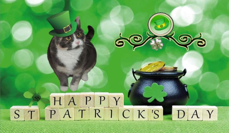 Blanche uploaded   48  day/s  ago