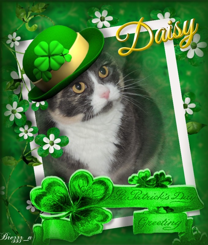 Blanche uploaded   57  day/s  ago