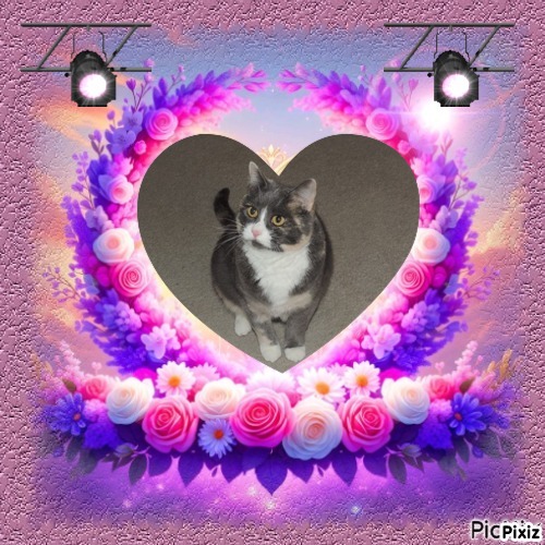 Blanche uploaded   13  day/s  ago