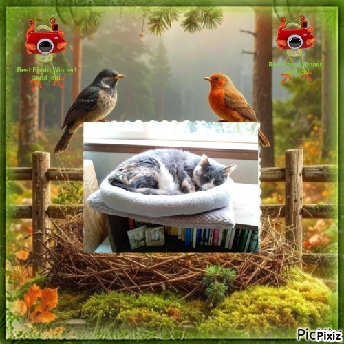 Blanche uploaded   45  day/s  ago