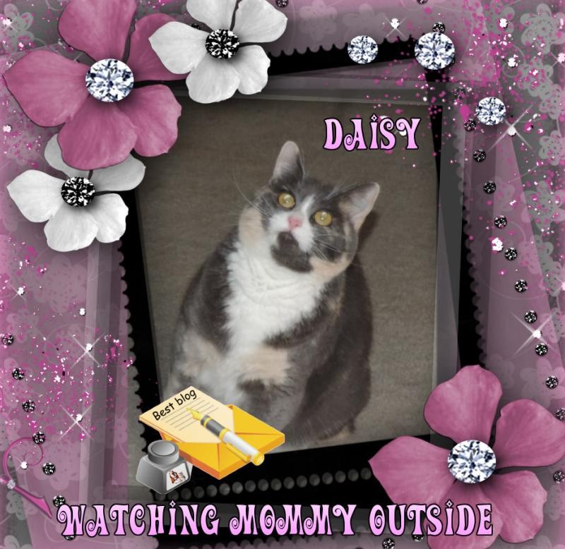 Blanche uploaded   11  day/s  ago